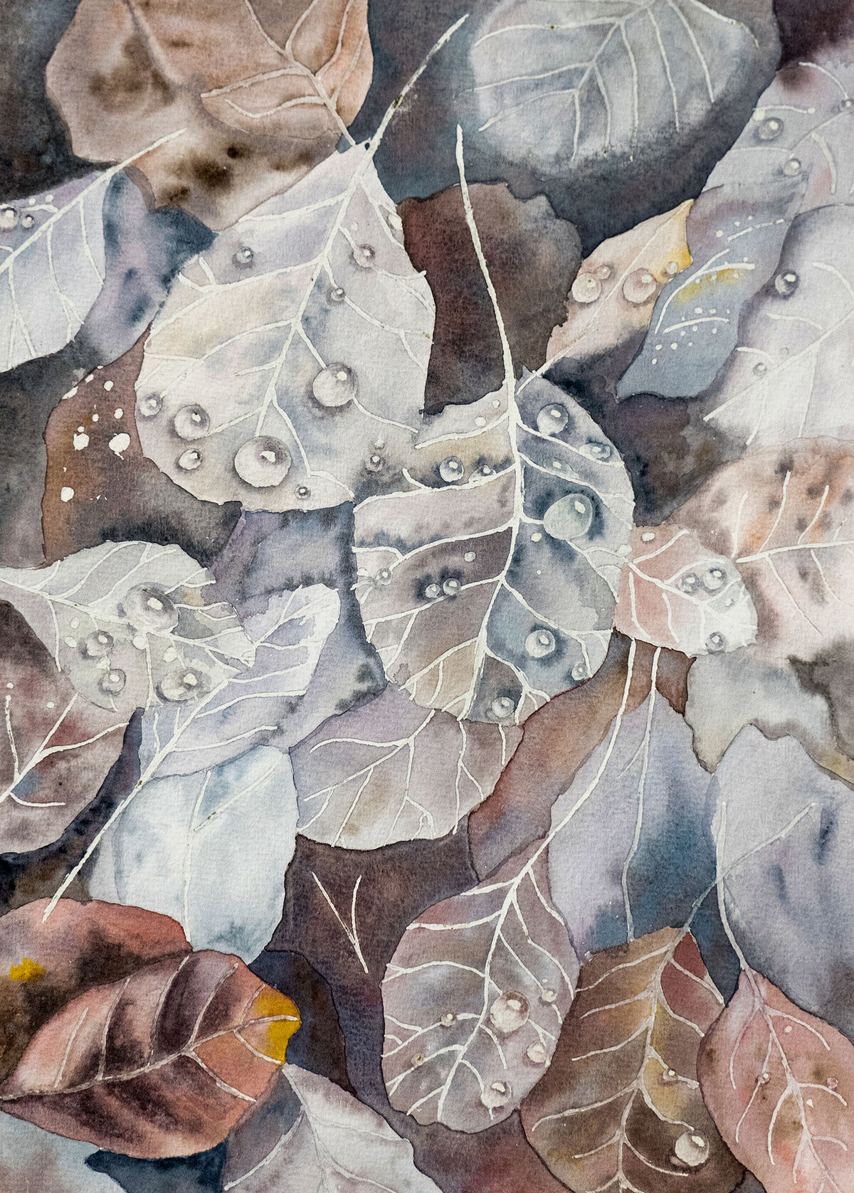 Final Project - Elena Kasali